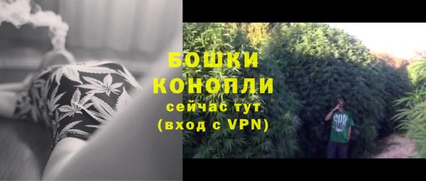 индика Зерноград
