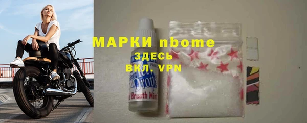 индика Алзамай