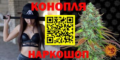 шишки Сибай