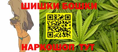 шишки Сибай