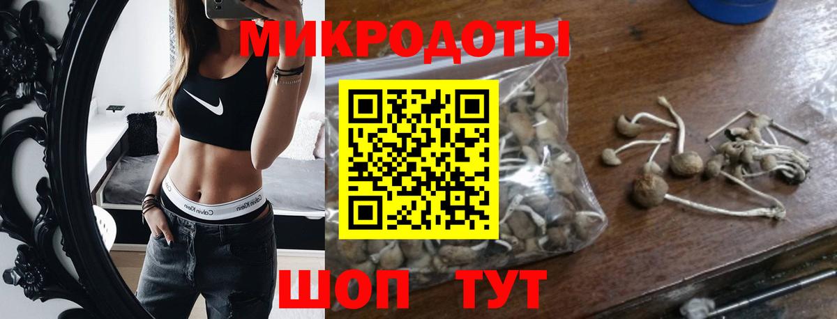 Белгород  Псилоцибиновые грибы Psilocybe  наркотики  Псилоцибиновые грибы Magic Shrooms  Вход с VPN 